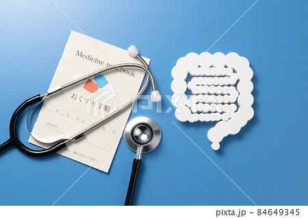 腸の模型　医療イメージ写真　 84649345