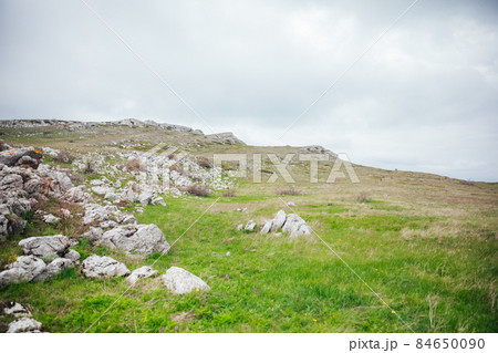 beautiful landscape on top of the mountain view of the forest and sky beautiful landscape on top of the mountain view of the forest and sky 84650090