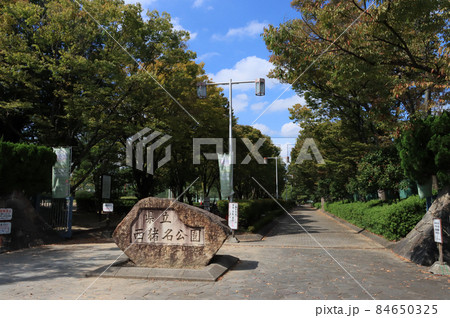 伊丹市　県立西猪名公園 84650325