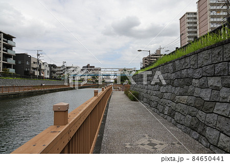 東京都江東区の小名木川沿いの道の風景 84650441