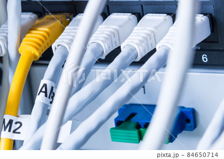close-up of ethernet cables and switch 84650714