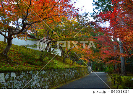 2021年秋に紅葉の名所京都市曼殊院の門前を歩く 84651334