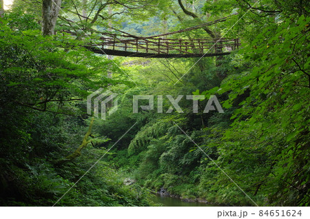 かずら橋　福井県今立郡池田町 84651624