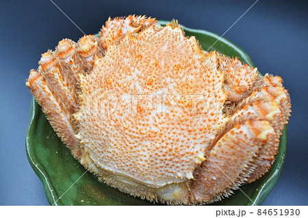 毛ガニ 毛蟹 毛ガニ 毛蟹 84651930