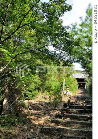 高仙寺(孝子観音)の山門と参道 【大阪府泉南郡岬町】 高仙寺(孝子観音)の山門と参道 【大阪府泉南郡岬町】 84651981