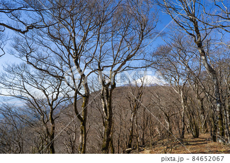 三国山の山頂から見た富士山(山中湖の三国山ハイキングコース) 三国山の山頂から見た富士山(山中湖の三国山ハイキングコース) 84652067