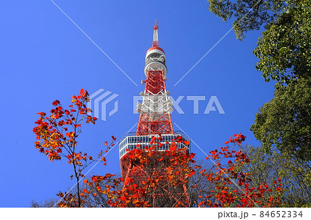 12月 港区1655東京タワーとモミジの紅葉・もみじ谷・港区立芝公園 12月 港区1655東京タワーとモミジの紅葉・もみじ谷・港区立芝公園 84652334