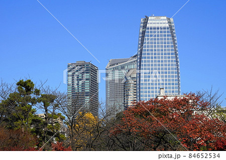 12月 港区1636愛宕グリーンヒルズMORIタワーとモミジの紅葉・港区立芝公園 12月 港区1636愛宕グリーンヒルズMORIタワーとモミジの紅葉・港区立芝公園 84652534