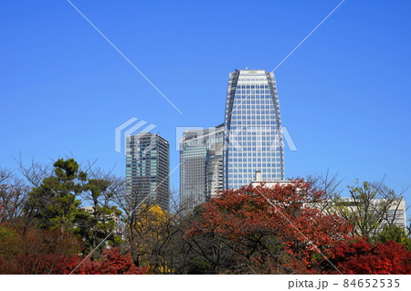 12月 港区1635愛宕グリーンヒルズMORIタワーとモミジの紅葉・港区立芝公園 12月 港区1635愛宕グリーンヒルズMORIタワーとモミジの紅葉・港区立芝公園 84652535