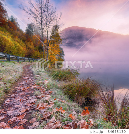 Spectacular autumn scene of foggy and sunny morning on Almsee lake. 84653130