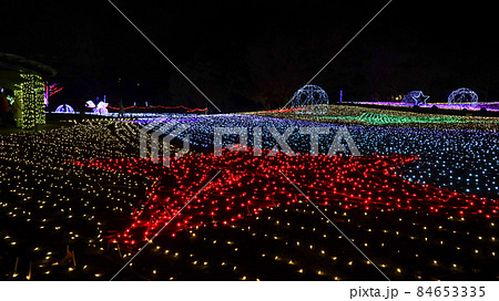 木曾三川公園　イルミネーション 84653335