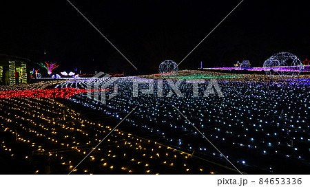 木曾三川公園　イルミネーション 84653336