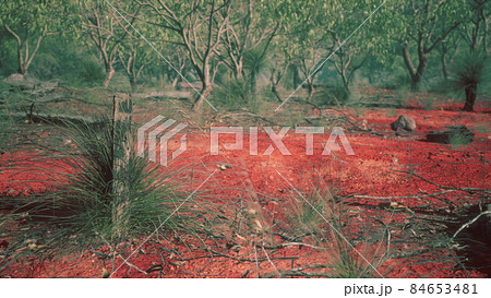 rural farm boundary fencing in poor condition and long dead dry grass rural farm boundary fencing in poor condition and long dead dry grass 84653481