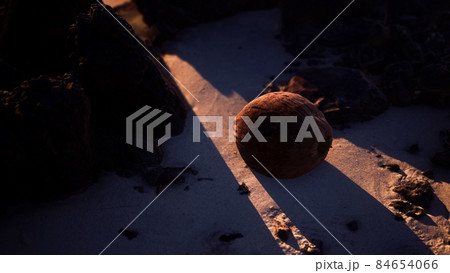 brown coconut on the beach sand brown coconut on the beach sand 84654066