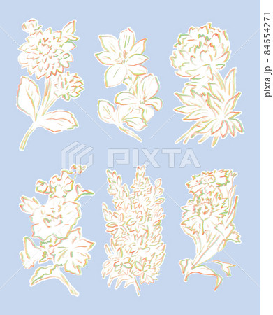 虹色色鉛筆手描き 春夏の花イラストセット 植物 ナチュラル 素朴 自然 線画のイラスト素材