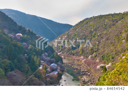 嵐山公園展望台から斜面に桜が点々と咲く保津峡を望む 84654542