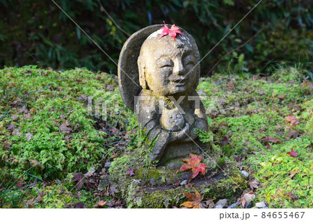 2021年錦秋の朝に参拝した京都大原三千院の小さなお地蔵さんが可愛い 84655467
