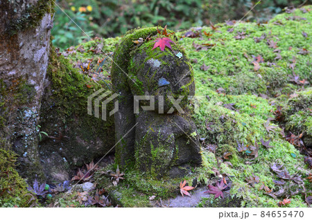 2021年錦秋の朝に参拝した京都大原三千院の小さなお地蔵さんが可愛い 84655470