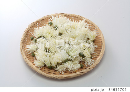 食用菊 84655705