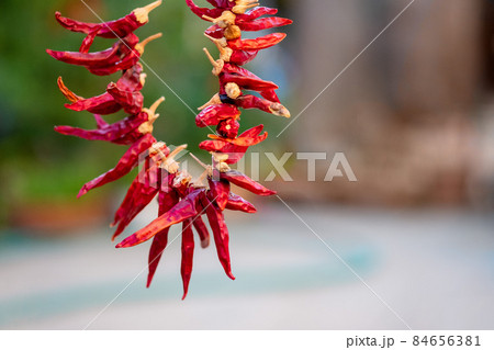 Red hot chili peppers hanging on a rope on the green nature background. 84656381