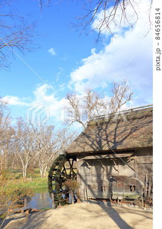 12月の安曇野　河畔の水車小屋 84656814