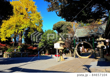 東京都北区 師走の七社神社境内 東京都北区 師走の七社神社境内 84657104