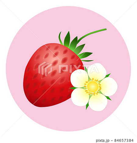 ピンク色の円形の背景に緑色の茎付きの赤いイチゴ1個と白いイチゴの花1輪のアイコンのイラスト素材