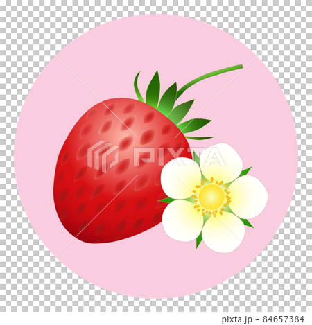 ピンク色の円形の背景に緑色の茎付きの赤いイチゴ1個と白いイチゴの花1輪のアイコンのイラスト素材