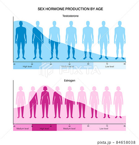 Testosterone estrogen level 84658038
