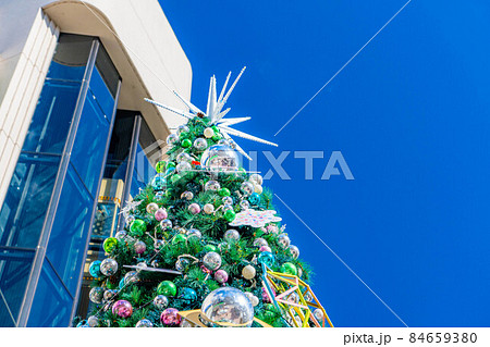 【クリスマス素材】クリスマスツリー【長野県】 【クリスマス素材】クリスマスツリー【長野県】 84659380