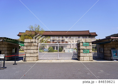東京国立博物館（東京都台東区上野公園） 84659621