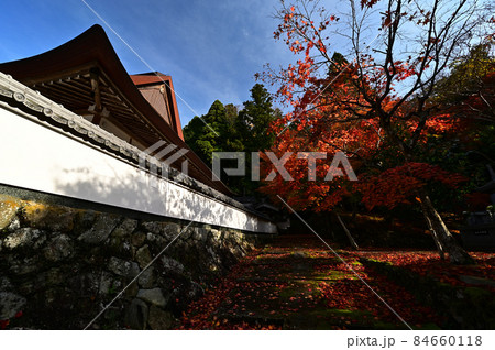 荘厳寺の紅葉 84660118