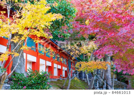 神戸・紅葉の須磨寺 84661013