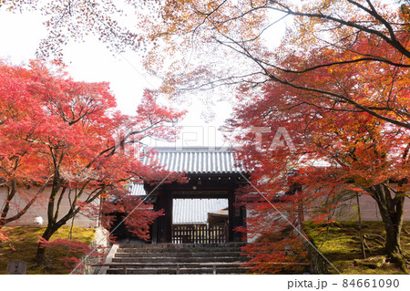 京都の紅葉 京都の紅葉 84661090
