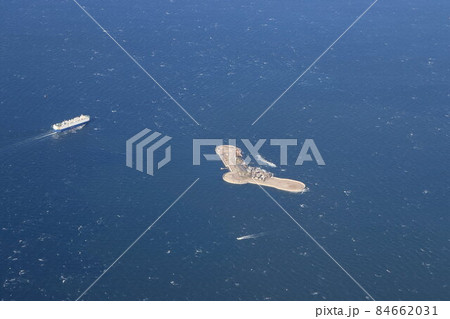 上空から見る第二海堡 上空から見る第二海堡 84662031