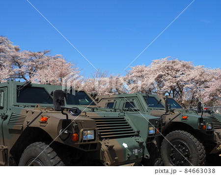 装甲車と桜（自衛隊桜まつり） 84663038