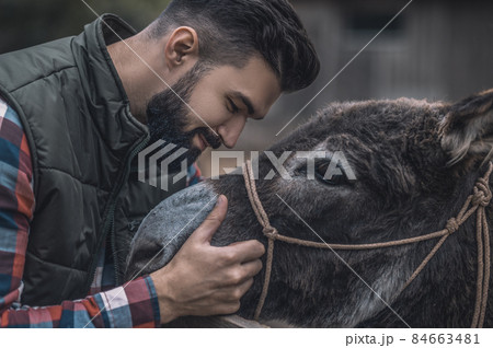 Farmer caressing a cute donkey and smiling 84663481