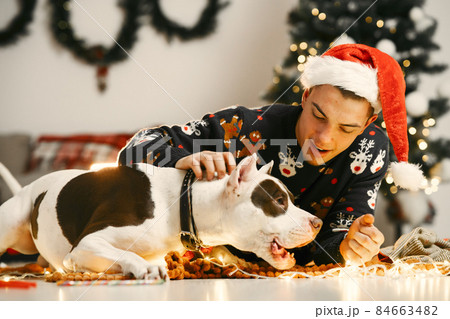 Man with big dog near christmas tree 84663482