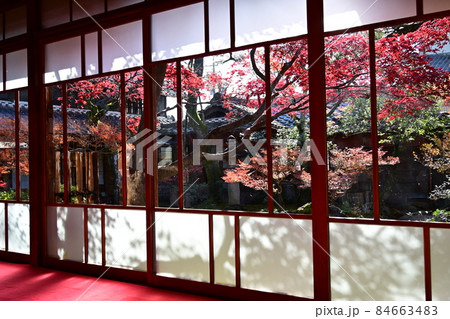日本庭園（美濃路・起宿）紅葉と窓枠 84663483