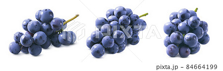 Small bunches of blue grapes without leaves set isolated on white background Small bunches of blue grapes without leaves set isolated on white background 84664199