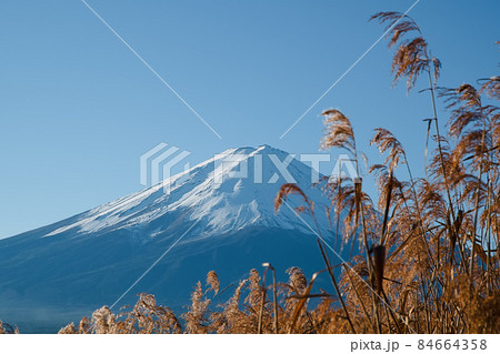 大石公園から見る富士山 84664358