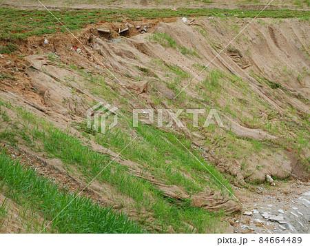 Permanent slope protection with grass using the hydroseed method. The grass is used to stabilize the slope structure and prevent slope erosion. Effective and less maintenance.  84664489