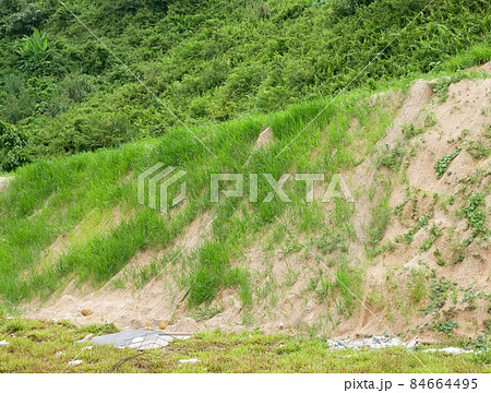 Permanent slope protection with grass using the hydroseed method. The grass is used to stabilize the slope structure and prevent slope erosion. Effective and less maintenance. Permanent slope protection with grass using the hydroseed method. The grass is used to stabilize the slope structure and prevent slope erosion. Effective and less maintenance. 84664495