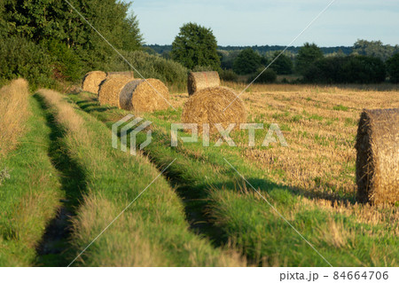 Dirt road and hay bales for stubble 84664706