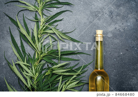 Cannabis oil cannabidiol. Medical cannabis marijuana and extract cbd on dark background. Cannabis oil cannabidiol. Medical cannabis marijuana and extract cbd on dark background. 84668480
