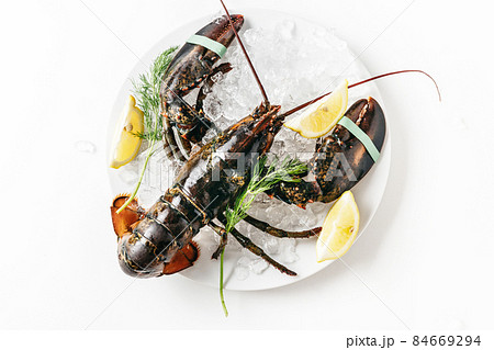 Fresh lobster isolated on white 84669294