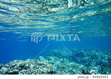 Underwater world Underwater world 84669463