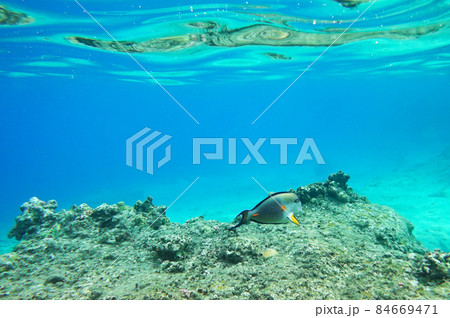Underwater background Underwater background 84669471