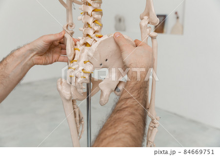 Doctor man pointing on pelvis of human skeleton anatomical model. Physiotherapist explaining joints model. Chiropractor or osteopath points to the skeleton of human body. Bones anatomy close up. Doctor man pointing on pelvis of human skeleton anatomical model. Physiotherapist explaining joints model. Chiropractor or osteopath points to the skeleton of human body. Bones anatomy close up. 84669751