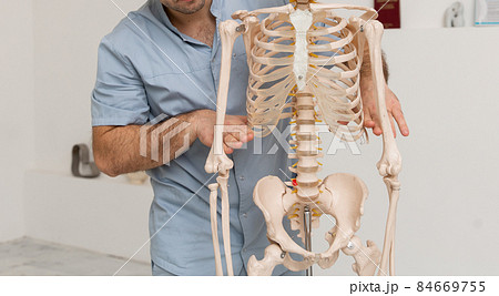 Doctor man pointing on ribs of human skeleton anatomical model. Physiotherapist explaining joints model. Chiropractor or osteopath points to the skeleton of human body. Bones anatomy close up. Doctor man pointing on ribs of human skeleton anatomical model. Physiotherapist explaining joints model. Chiropractor or osteopath points to the skeleton of human body. Bones anatomy close up. 84669755